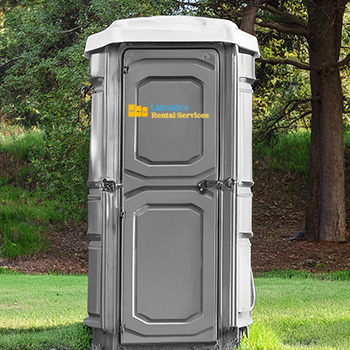 Image of Langarica Rental Services<br />
 unit